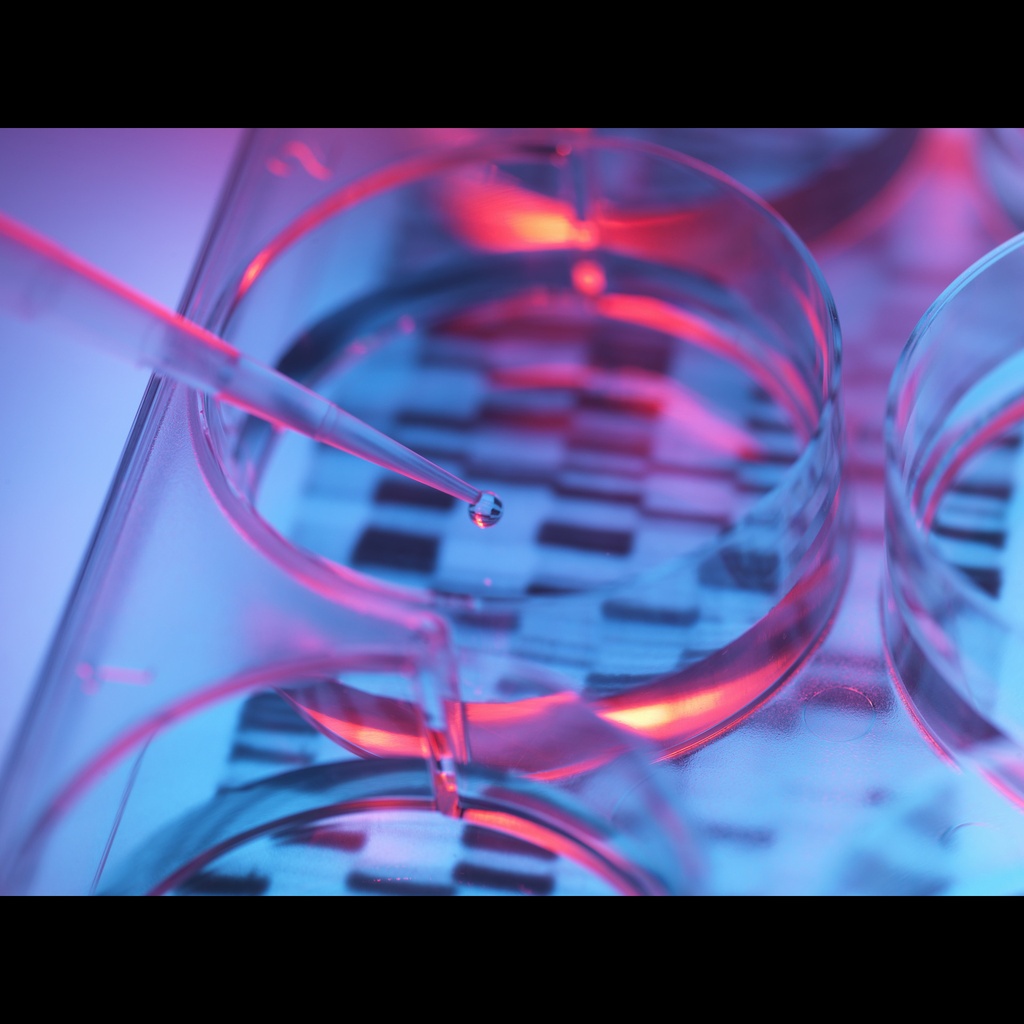 Apex DNA Ladder III, 200 Lanes, 80bp size: 10Kb, 1 x 1.0 mL/Unit