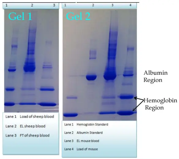 HemoVoid size: Hemoglobin Variant Enrichment Kit From Blood size: 10 preps