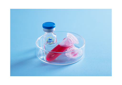 [GEN - PYT447-25ug] Visfatin Mouse